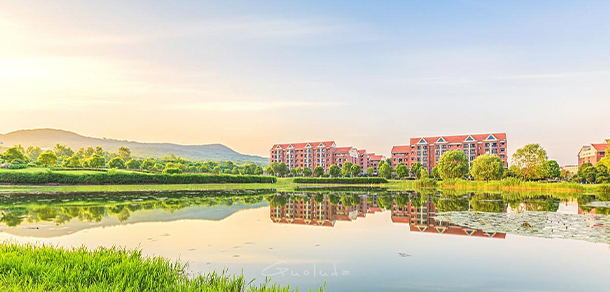 我的大學(xué)-大學(xué)志