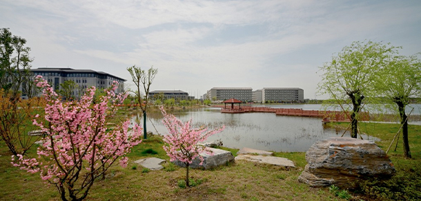 我的大學(xué)-大學(xué)志