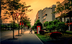 招生公告 · 招生簡(jiǎn)章 · 招生計(jì)劃