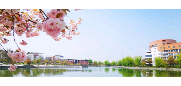我的大學-大學志