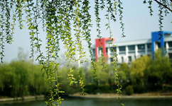 鹽城幼兒師范高等?？茖W(xué)校 - 我的大學(xué)