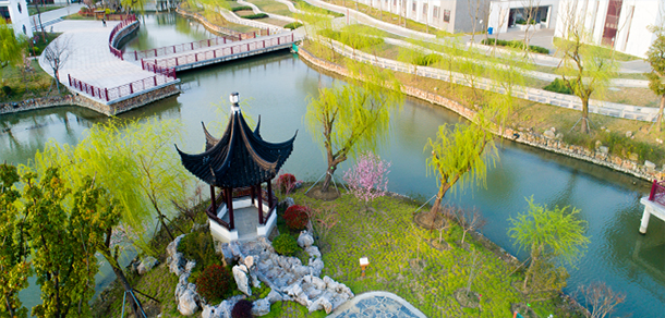 我的大學(xué)-大學(xué)志