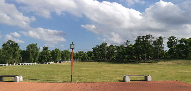 我的大學(xué)-大學(xué)志