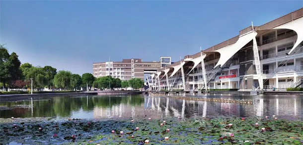 我的大學(xué)-大學(xué)志