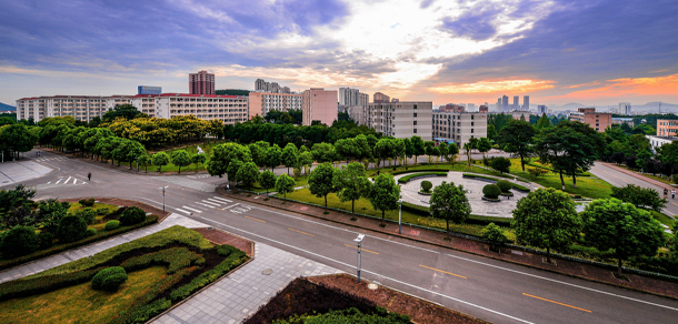 大學校志：校名、校標、校訓、?；?、校旗、校歌