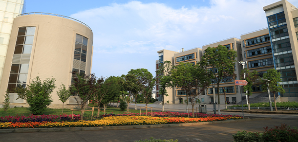我的大學(xué)-大學(xué)志