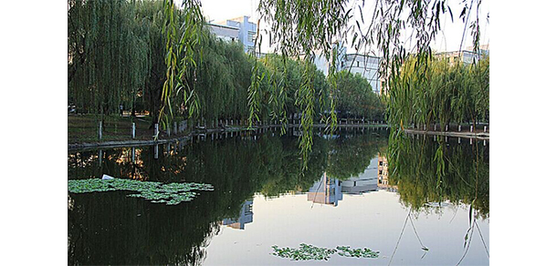 2022年招生分?jǐn)?shù)