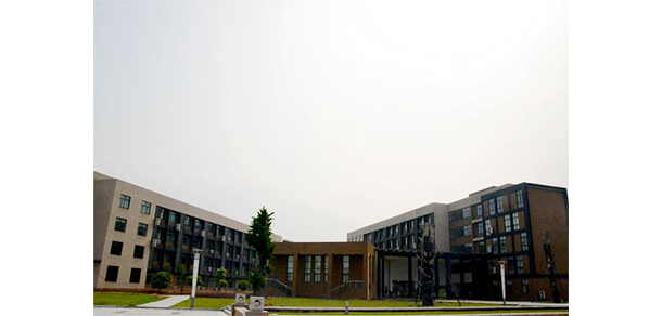 我的大學(xué)-大學(xué)志