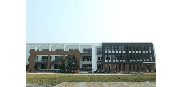 我的大學(xué)-大學(xué)志