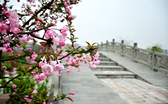 上海財經(jīng)大學(xué)浙江學(xué)院 - 我的大學(xué)