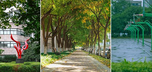 我的大學(xué)-大學(xué)志