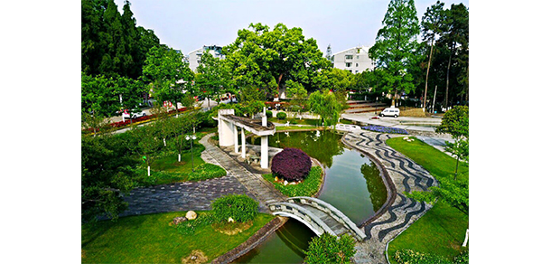 麗水職業(yè)技術學院 - 最美大學