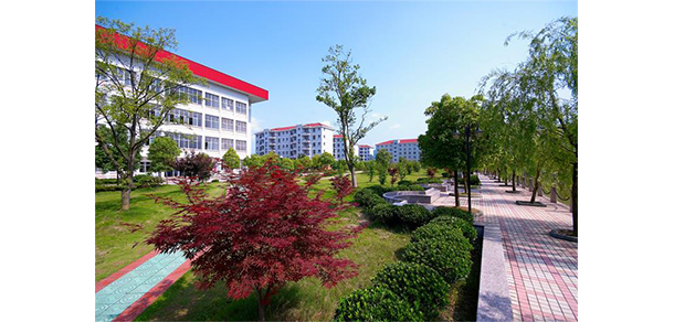 我的大學(xué)-大學(xué)志