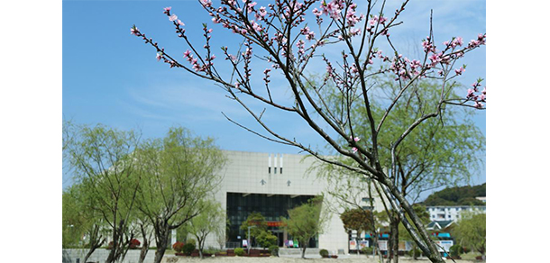 我的大學-大學志