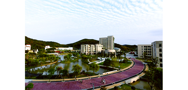 我的大學-大學志