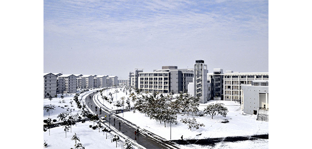 我的大學(xué)-大學(xué)志