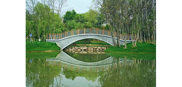 我的大學(xué)-大學(xué)志