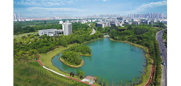 我的大學(xué)-大學(xué)志
