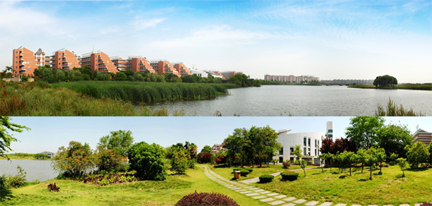 我的大學-大學志