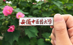 招生公告 · 招生簡章 · 招生計劃