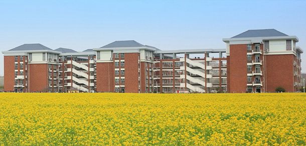 我的大學(xué)-大學(xué)志