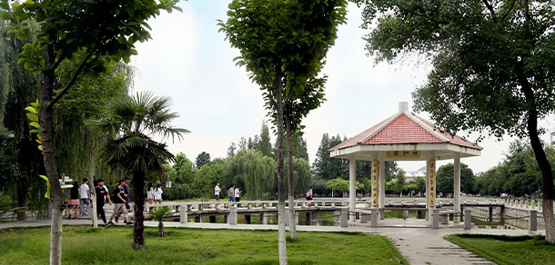 我的大學(xué)-大學(xué)志