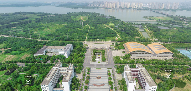 我的大學(xué)-大學(xué)志
