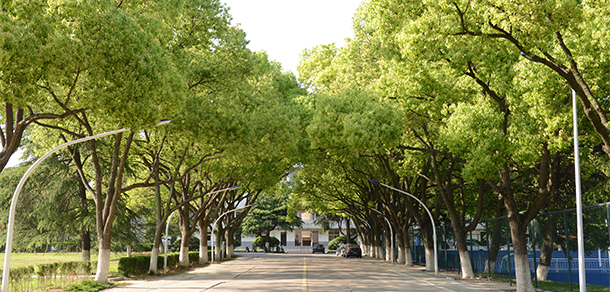 巢湖學院 - 最美大學