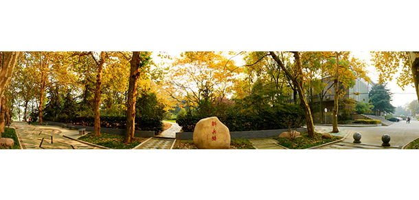 我的大學(xué)-大學(xué)志