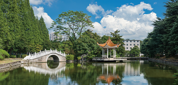 我的大學(xué)-大學(xué)志