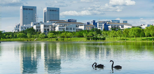 我的大學(xué)-大學(xué)志