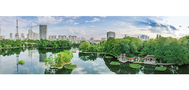我的大學(xué)-大學(xué)志
