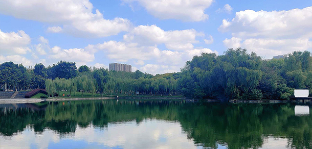 我的大學-大學志