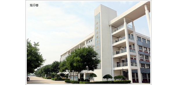 我的大學(xué)-大學(xué)志