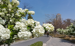 招生公告 · 招生簡(jiǎn)章 · 招生計(jì)劃