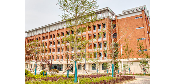 我的大學(xué)-大學(xué)志