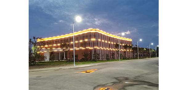 我的大學(xué)-大學(xué)志