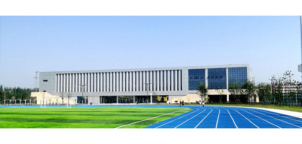 我的大學(xué)-大學(xué)志
