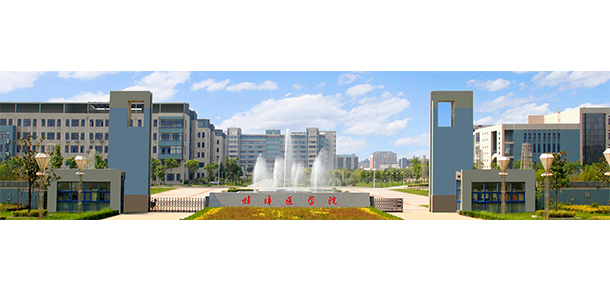 我的大學(xué)-大學(xué)志