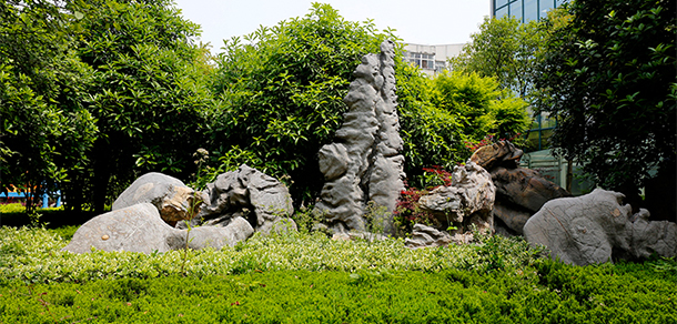 我的大學-大學志