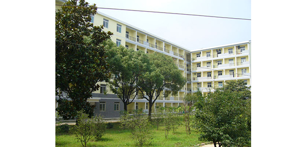 我的大學(xué)-大學(xué)志