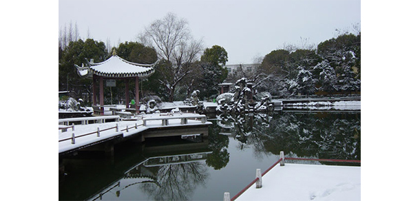 我的大學(xué)-大學(xué)志