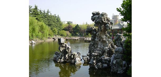 我的大學(xué)-大學(xué)志