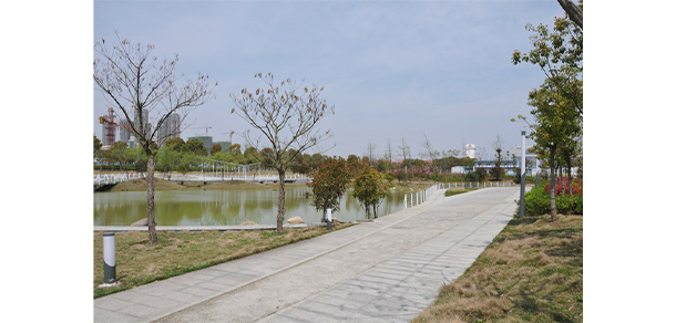 我的大學(xué)-大學(xué)志