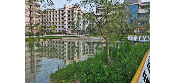我的大學(xué)-大學(xué)志