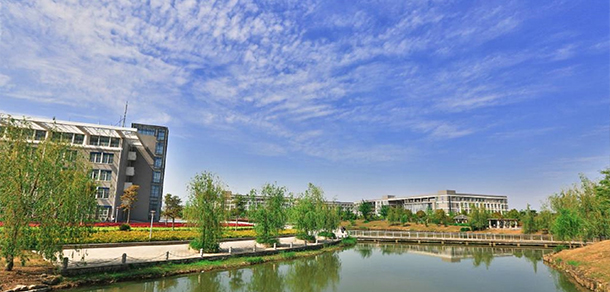 我的大學(xué)-大學(xué)志