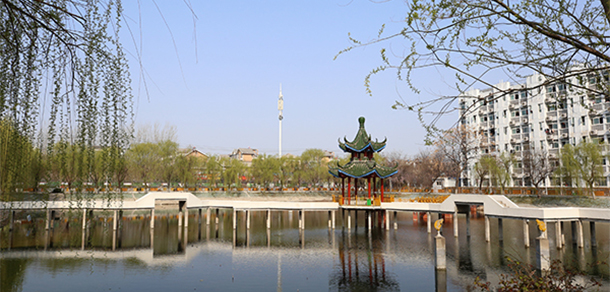 我的大學(xué)-大學(xué)志