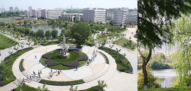 我的大學(xué)-大學(xué)志