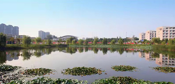 我的大學(xué)-大學(xué)志