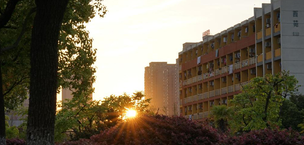 我的大學(xué)-大學(xué)志